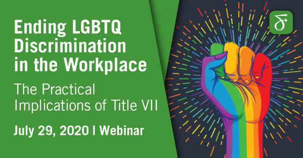 Ending LGBTQ Discrimination in the Workplace: The Practical ...