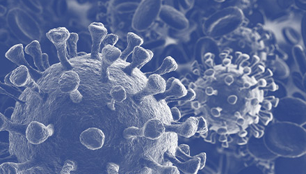 Corona Virus