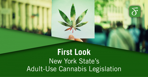 First Look: New York State's Adult-Use Cannabis Legislation