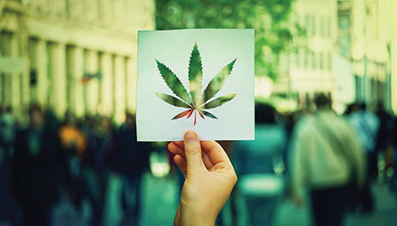 Cannabis leaf stencil