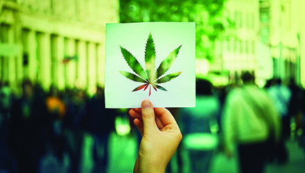 Person holding Cannabis sign