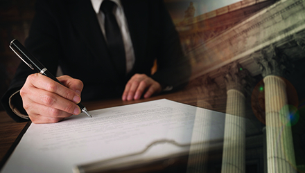 Contracts and Government