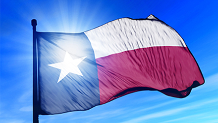 Texas State Flag