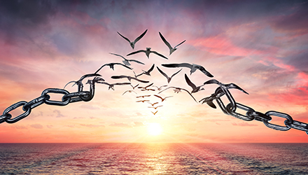 Chains and Birds Flying over Ocean