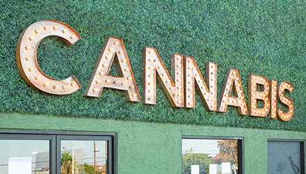 Cannabis Dispensary Sign