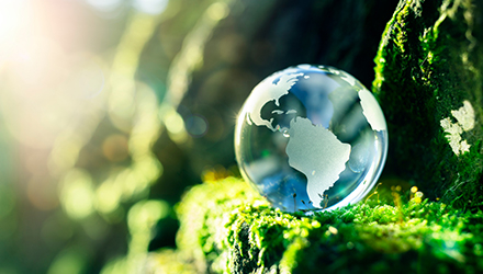 Globe and Nature