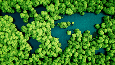 Aerial of trees and body of water