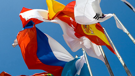 Flags