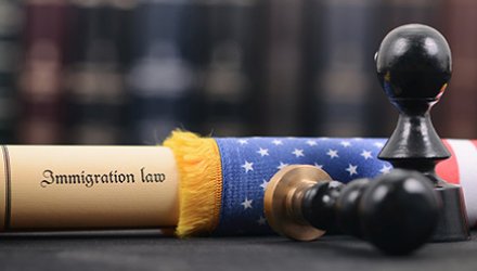 Immigration Law on Flag pole