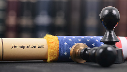 Immigration Law on Flag pole