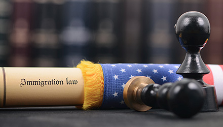 Immigration Law on Flag pole