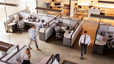Office Cubicles