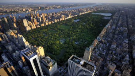 NYC Central Park Aerial