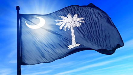South Carolina flag