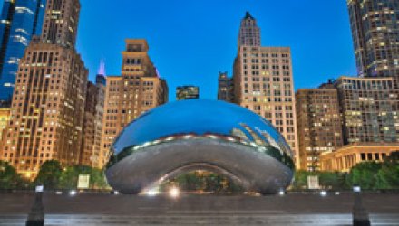 Chicago bean