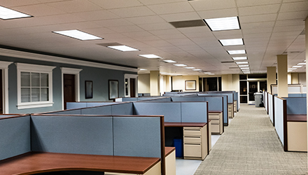 Empty office cubicles