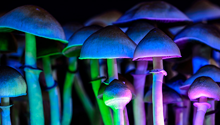 Psychedelics rainbow light