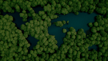 forest and river
