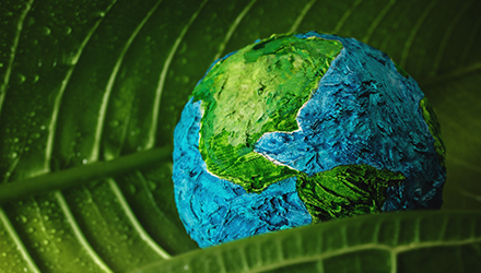 Earth On a Leaf
