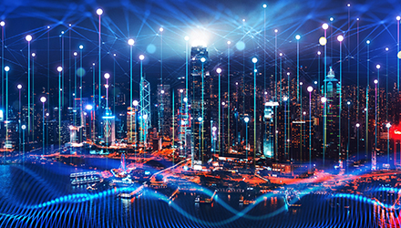 City of Networks