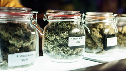 Marijuana in jars