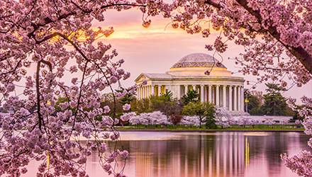 DC Thomas Jefferson Memorial