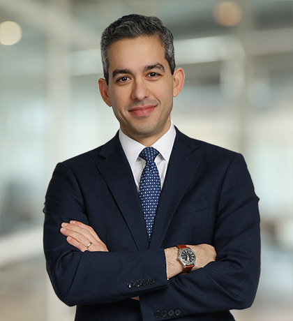 Photo of Amir Goodarzi