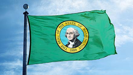 Washington Flag
