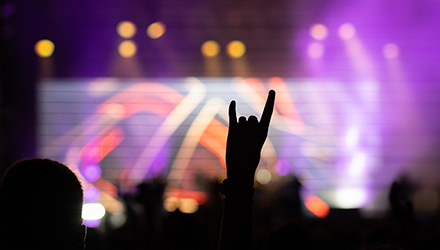 concert goers